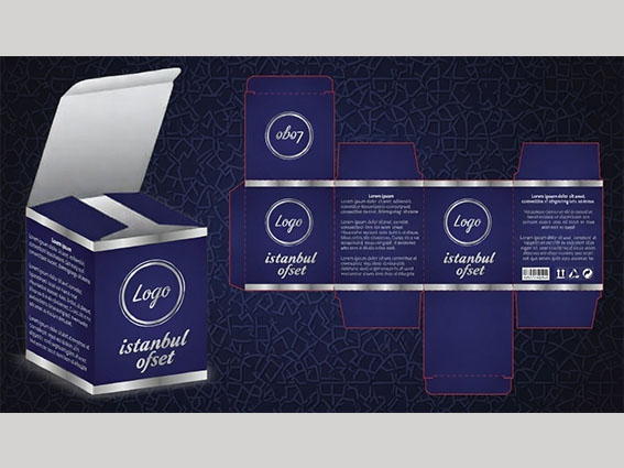 amerikan bristol kutu